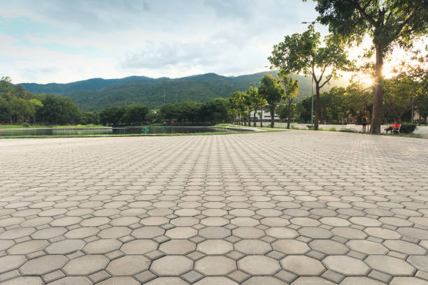 Best Residential Paver Driveway  in Hanford, CA